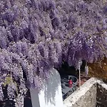 Casa Glicinias Óbidos