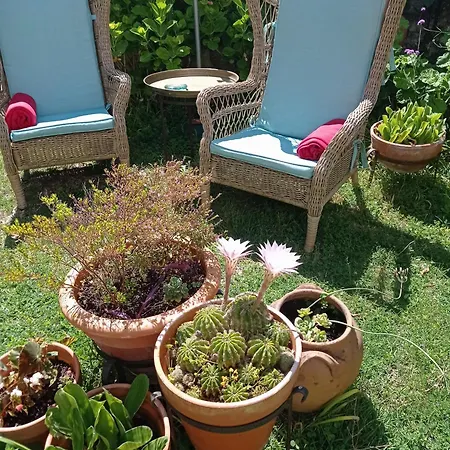 Casa Glicínias