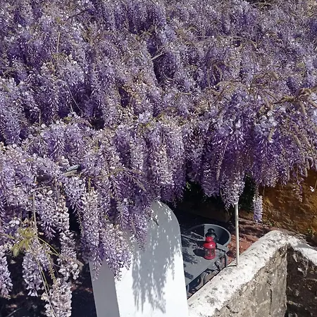 Casa Glicínias Óbidos