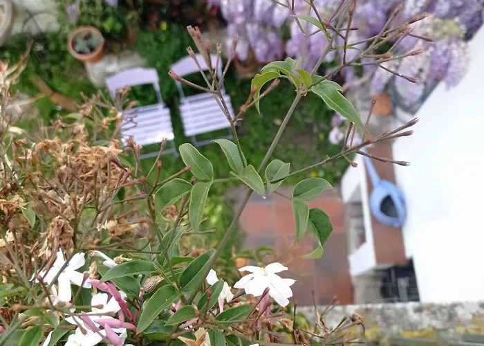 בית נופש Casa Glicinias *