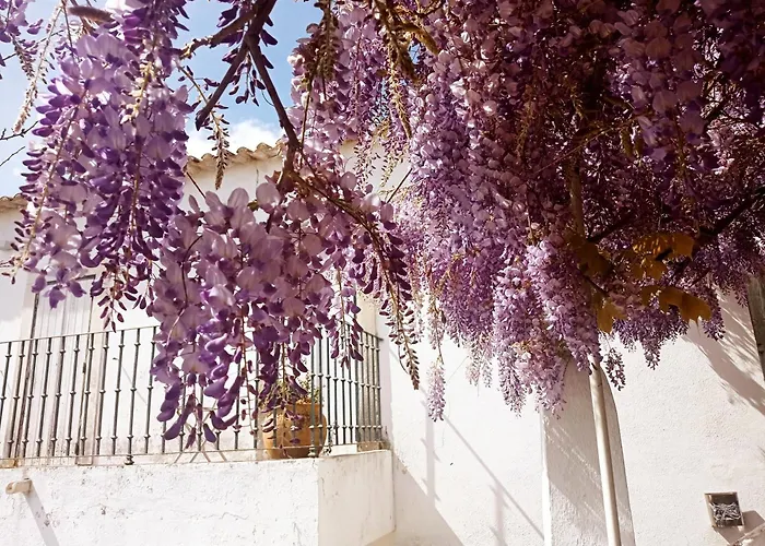 Дом отдыха Casa Glicinias *