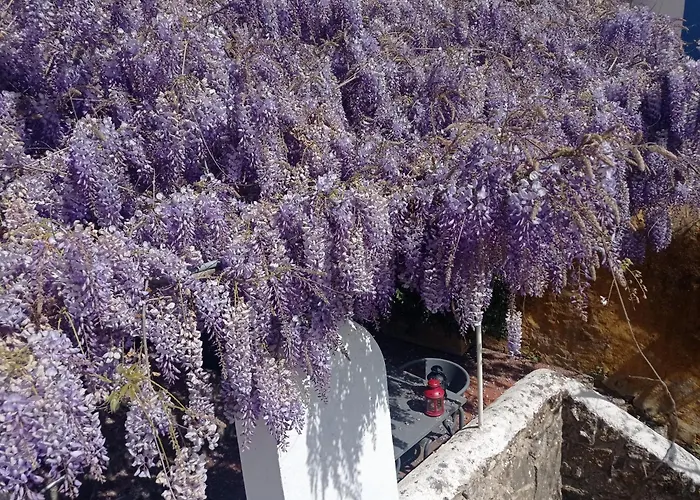 Casa Glicinias אובידוס